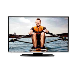 GoGEN TVF 43R384 STWEB